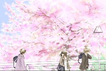 雏鸟最新版